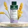 Herbatint Violet Shampoo - Anti-Yellow, 93% Natural, Neutralizes Tones, Cassia