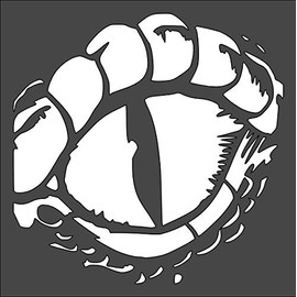 Rubstamper Dragon Eye Logo Stencil Reusable Sturdy Flexible Clear Plastic 1-5.5x5.5 in Arts and Crafts Material Scrapbooking for Airbrush Painting Drawing