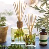 Rosy Rings Forest Botanical Reed Diffuser 4oz - Lasts 6-12
