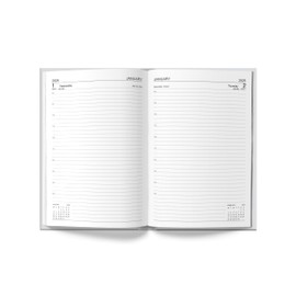 MantraRaj 2025 A4 DAP Hardback Day To Page Diary With Half Saturday And Sunday Page Year Planner for Business, Office, Home, Traveling, Appointments (Red)