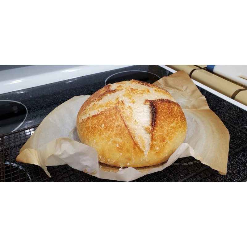 ZOURDOUGH SOURDOUGH The Apostle sourdough starter yeast New Release for