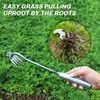 Weed Puller Tool, Long Handle 4 Teeth Garden Cultivator, Garden
