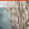 Royal Moroccan RM1014 Sulfate-Free Shampoo, 500 ml, 16.9 oz