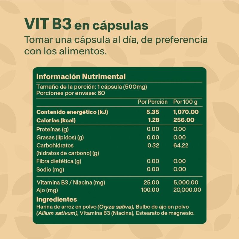 Vitamina B3 / Niacina y Ajo. Con 60 capsulas de