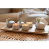 Balance Vases Set of 3