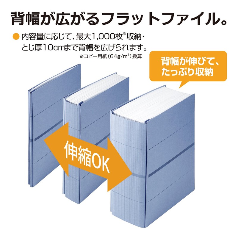 PLUS(プラス) プラス フラットファイル A4縦 2穴 セノバス 3冊+替表紙1枚綴紐1本 89-288 ブルー