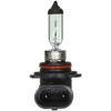 Wagner Lighting BP9006 Standard Multi-Purpose Light Bulb Card of 1