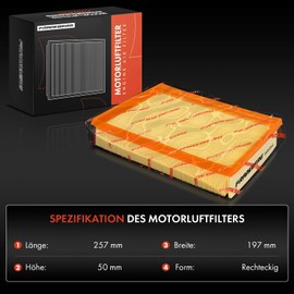 Frankberg 1 x Air Filter Cartridge Compatible with Laguna Coupe DT0/1 Laguna III BT0/1 Laguna III Grandtour KT0/1 Latitude L70 Replace# 8200576596