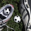 Sneaker Ball Soccer Scent & Deodorizer Fresh & Clean