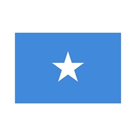 inking house Set of 5 x Somalia Flag Iron on Screen print transfer for Fabrics machine washable Applique Somalian Flag