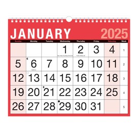 Zopper -2025 Calendar Easy Month To View,Planners & Personal Organisers, Wall Planners,Holidays and Notable Dates,Wall Planner Spiral Bound for Home Business Office School