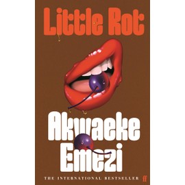 Little Rot: 'A masterwork of the form . . . mesmerising.' New York Times