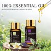 MAYJAM Essential Oil Set, Aroma Oil Set, Essential Oils, Trial