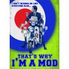 Small (150 x 200mm) Metal Sign - That's Why I'm A MOD