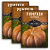 Survival Garden Seeds - Fairy Tale Pumpkin Seed for Planting