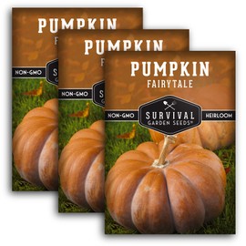 Survival Garden Seeds - Fairy Tale Pumpkin Seed for Planting - 3 Packs with Instructions to Plant and Grow Pumpkins in Your Home Vegetable Garden - Non-GMO Heirloom Variety