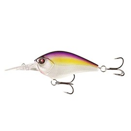 Cliff Banger 12ft Purple Nurple