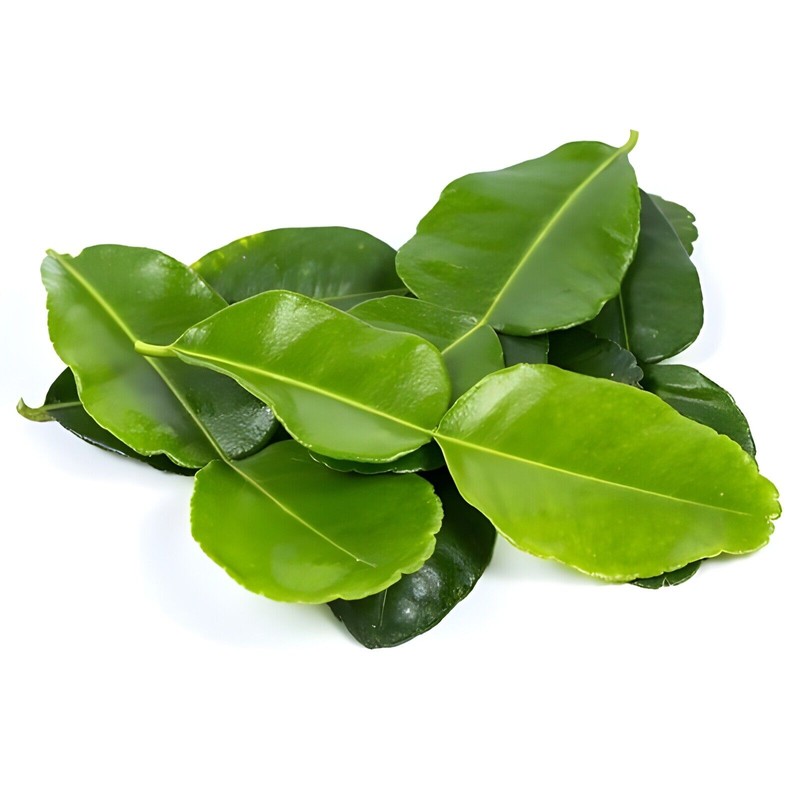 Fresh Organic Fresh Kaffir Lime Leaves ( Thai Lime Leaves)