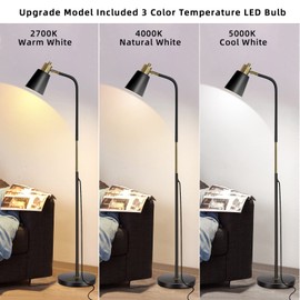 Floor Lamp, 3-Color TemperatureFloor Lamps for Living Rooms & Bedrooms, Farmhouse Reading Lamp - Standing, Adjustable Metal Heads Indoor Task Lighting for Living Room Bedroom Office (3-Color Black)