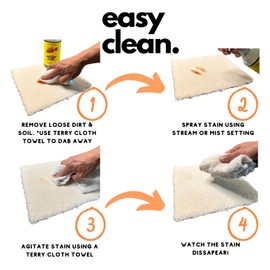 Whip It Pro Kit: 1 Gallon Multi Purpose Stain Remover Concentrate & 32oz Ready-to-Use Bottle, Plant-Based Enzyme Cleaner, Cleans Food, Grease, Coffee, Wine, Baby Stains, 500+ Uses, Made in USA