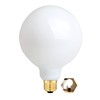 OMAYKEY 15W Dimmable Large LED Globe Bulb 100W Equivalent 1000