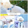 PetGround Pet Harness Lead Set Dog Harness Leash Cute Dog