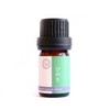 Japanese Essential Oil Hinoki 0.2 fl oz (5 ml)