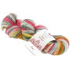 LANA GROSSA MW 100 Merino Hand-Dyed Rainbow