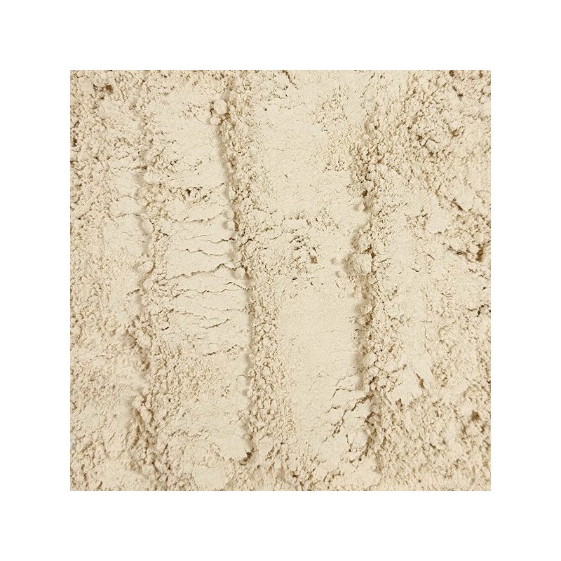 O-Herb 차전자피 고운분말 500g 차전자피 100% Psyllium Husk Fine Powder