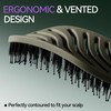 Boar Bristle Hair Brush For Women, Detangler Brushes For Curly