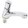 Time Delay Basin Sink Faucet Copper Alloy Push Switch Water
