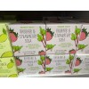TRADER JOE'S RHUBARB & STRAWBERRY SODA 4 - 8.4 FL