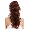 WIG ME UP - N956-V-33T130 Ponytail Braid Curly Voluminous Combs