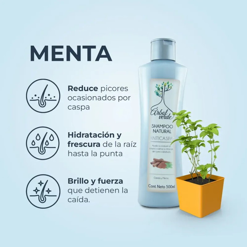 Shampoo Natural Anticaspa Descamación Árbol Verde Canela Y Menta 500ml