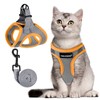 FAYOGOO Cat Harness and Lead Set, Cat Harness for Walking