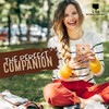 Trail Mix Snack Packs Variety - 4 Bags - Dried