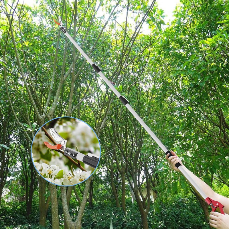 Quoddify 2 in 1 Tree Pruner & Pole Saws for