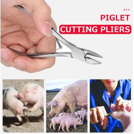 Alicates para cortar dientes de cerdo, pinza para dientes de cerdo de codo de acero inoxidable, equipo para ganado de diseño ergonómico, para recortar los dientes de lechones recién nacidos