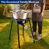 ARC 200,000BTU Propane Outdoor Burner Camp Stove Gas Burner,with Removable