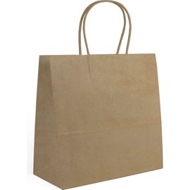 ALGON Reusable and Biodegradable Paper Bag, 26 x 17 x 26 cm, Heavy Duty Handles, Eco Friendly and Sustainable, Perfect Stores, Gifts and Daily Use