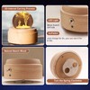 BIAOQINBO Crystal Ball Music Box, 360° Rotating Wooden Music Box