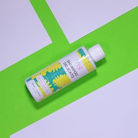 Gentle Shampoo for All Hair Types - Frequent Use - Against Frizz, Dryness and Natural Irritation, Vegan, Cruelty Free, 200 ml