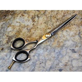 ASAMI 6.5" Profestional Hair Cutting Styling Shears Scissors ART6154
