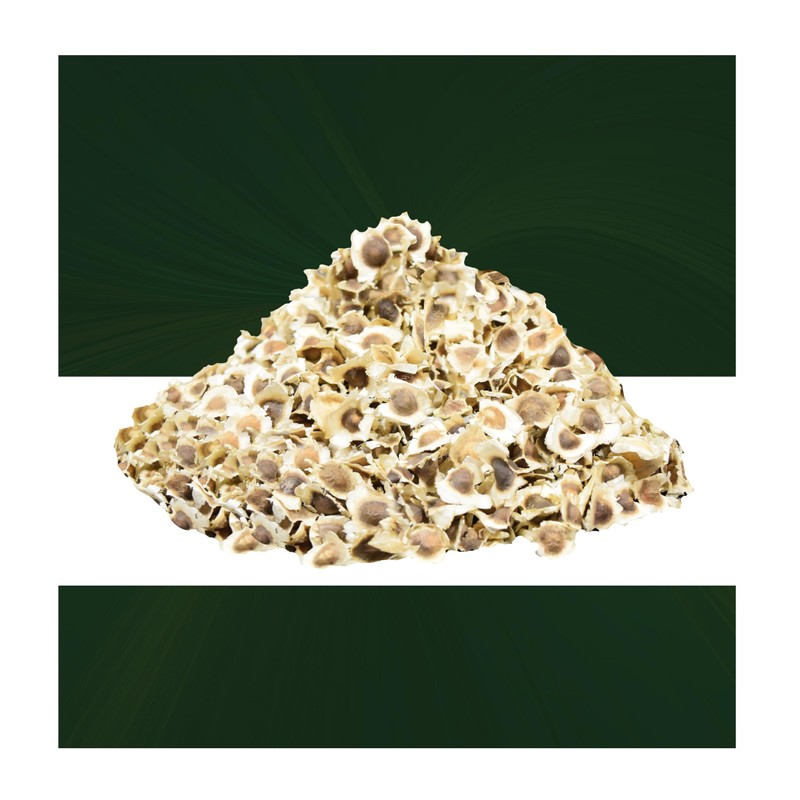 Moringa en Semilla Entera – 100% Natural – 55g -Calidad