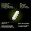 Tribiotics Probióticos, Prebióticos y Posbioticos 60 Mil Millones UFC Fórmula