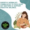 Probiotic Support Herbal Tea – Gut Balance & Digestive Comfort