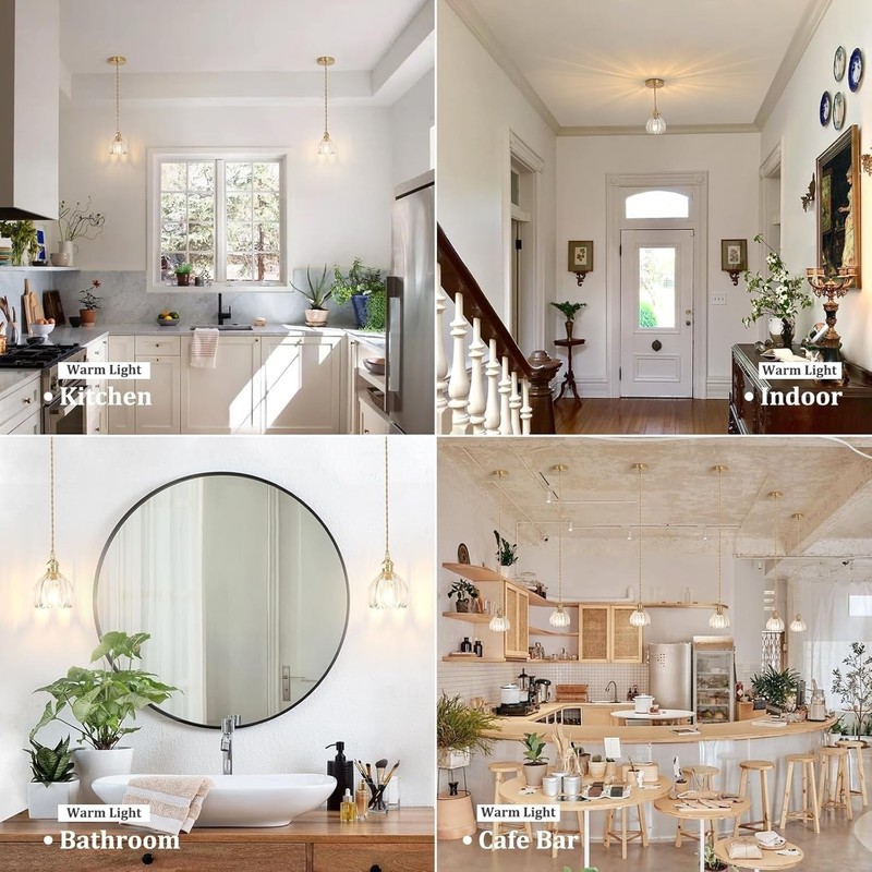 Battery Operated Pendant Light,Petal Glass Battery Chandelier Light with Rechargeable