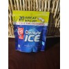 Dentyne Ice Peppermint 3 Packages With 20 Pieces Each Package-SHIPS