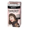 Kao Blaune Lumiest Hair Color Gray Hair Dye 2A Stylish