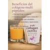 Péptidos Multivitamínico En Polvo Hidrolizado 8 En 1
